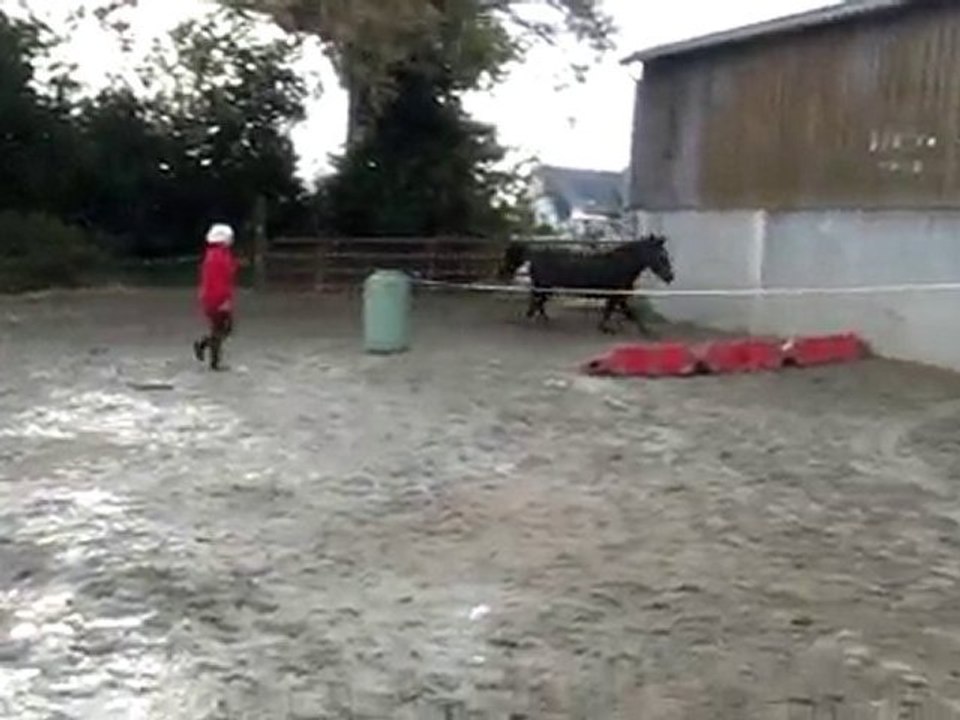 Ecuries du Nevez Quatarina