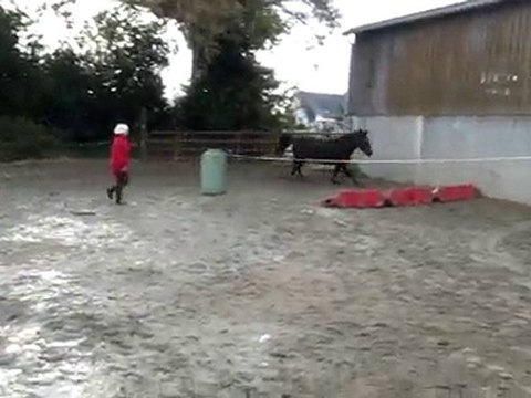 Ecuries du Nevez Quatarina