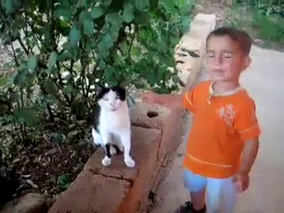 burak kedi