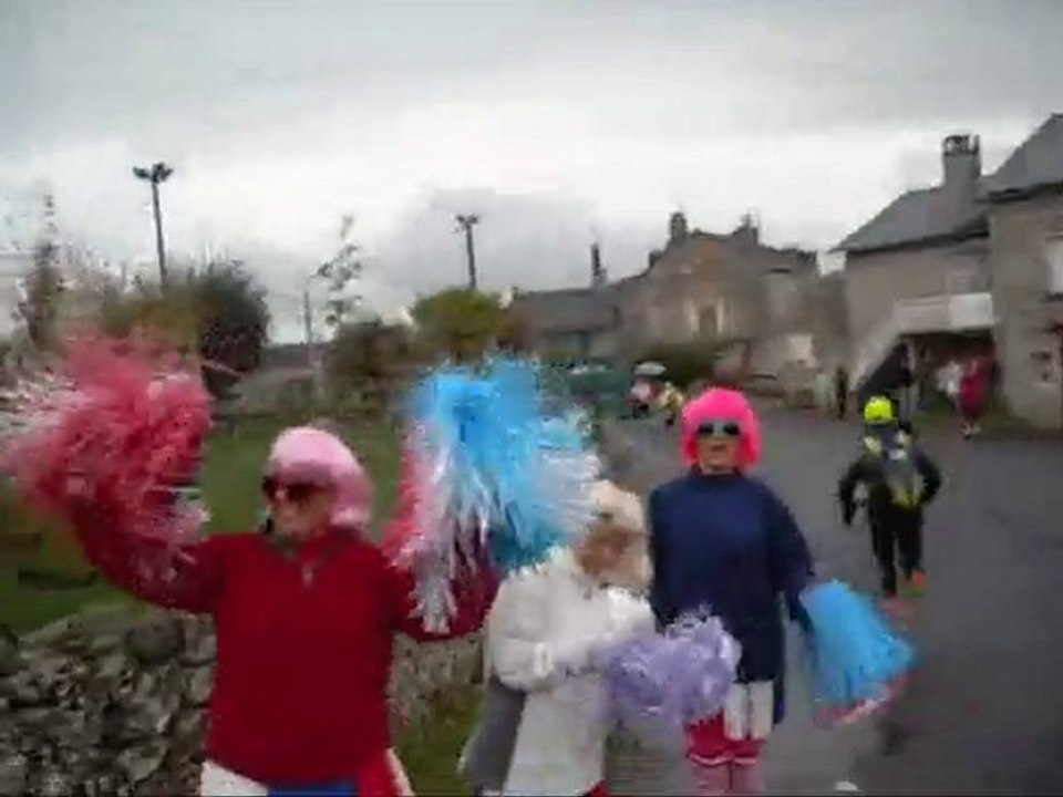 Les chameaux aux Templiers 2010