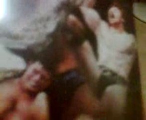 wwe raw dvd (toby keith,pee wee herman)