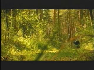 Blackmore's Night - Once In A Million Years