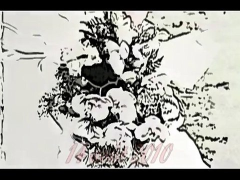 Mariage de Clémence et Olivier - 14-08-2010