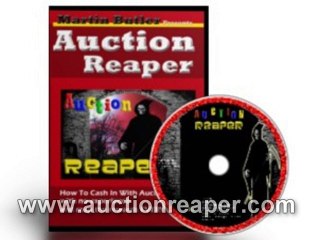 Auction Reaper Making Money on Ebay