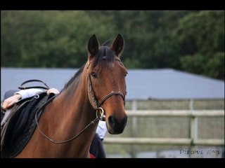 Octobre et Novembre 2010