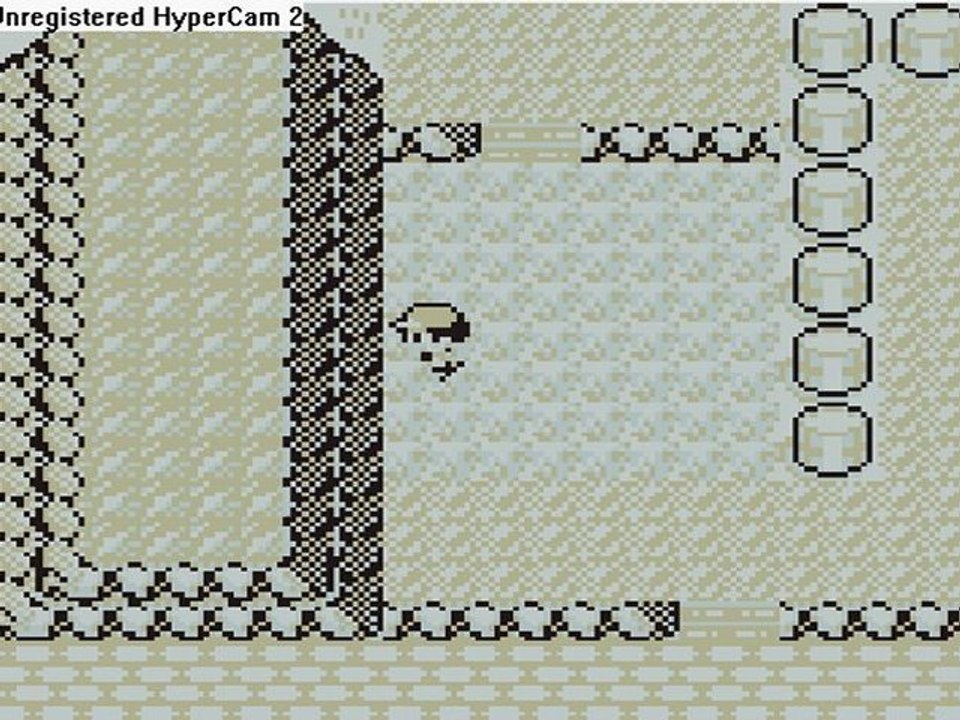 pokemon rouge 02 level up en masse + humiliation de jean