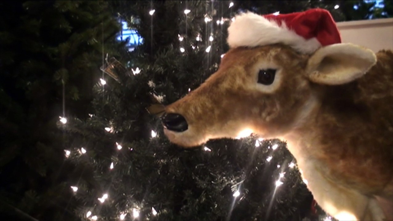 Maria Jaspers (ex Heijense inwoonster) zingt een Kerstlied