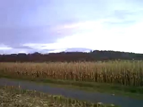 Galop dans les champs nov 2010