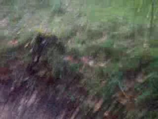 Au pas dans les bois de bénac nov 2010