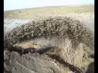 AZERBAYCAN ÇALIŞMALARIMIZ b9