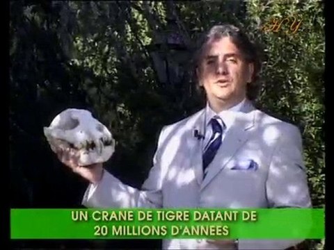 Exemples de fossiles vivants: Tigre