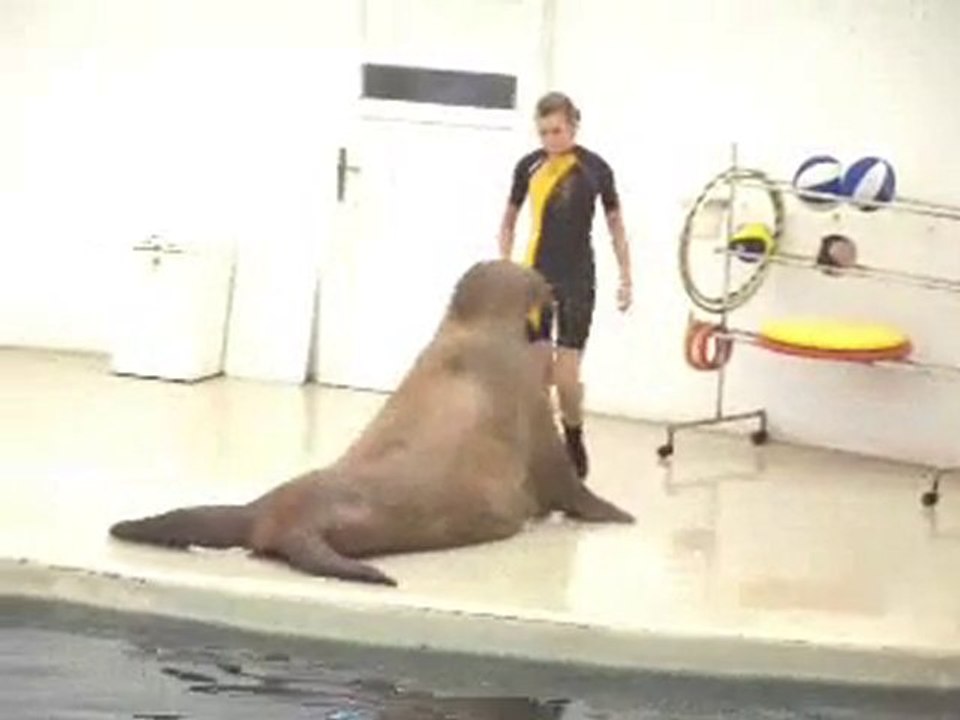 poolside_fitness_exercises