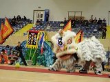 RCFA LDFA LION DANCE 2010 (Newcastle)