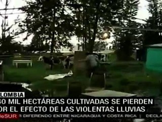 Скачать видео: Ciento cuarenta mil hectáreas cultivadas se pierden por el