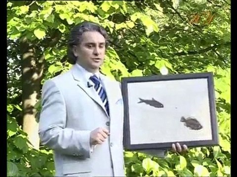 Exemples de fossiles vivants: Poisson-lune