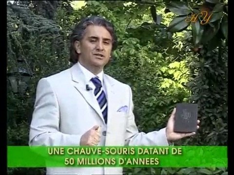 Exemples de fossiles vivants: Chauve-souris