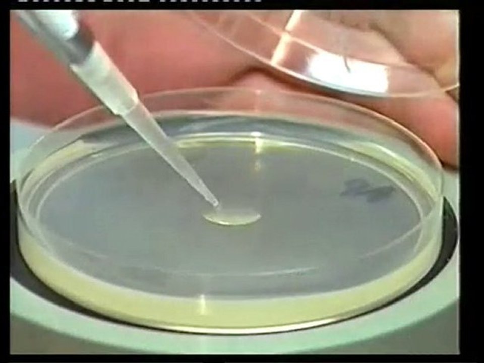 L'origine de la vie (partie 1)