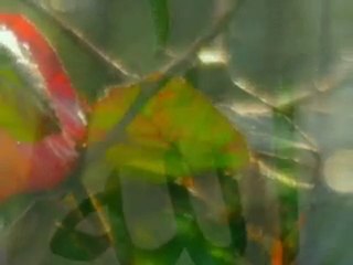 gözlerimden akar yaşlar