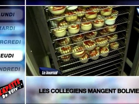 Zapette du 15 au 19 Novembre 2010