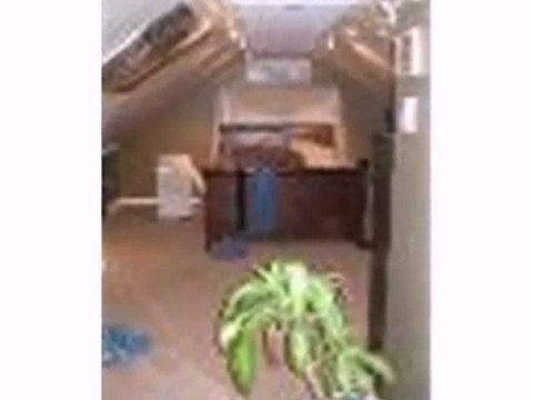 Homes for Sale - 3605 Scoville Ave - Berwyn, IL 60402 - Cold