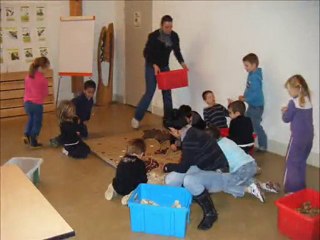 Diaporama maison de la forêt