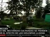 Ciento cuarenta mil hectáreas cultivadas se pierden por el efecto de las violentas lluvias