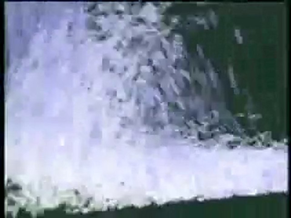 Karl Sims - Particle dreams