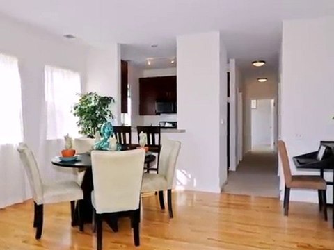 Homes for Sale - 1232 S Blue Island Ave Unit 301 - Chicago,