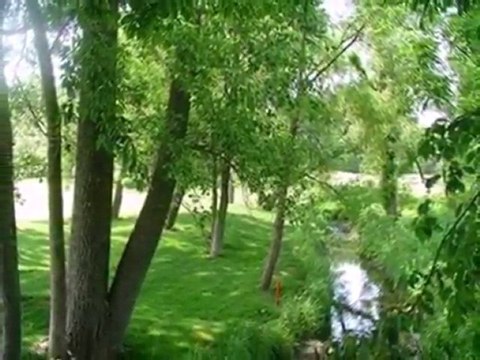 Homes for Sale - 1361 Nelson Dr - Chesterton, IN 46304 - Col