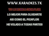 Los kjarkas picaflor karaoke