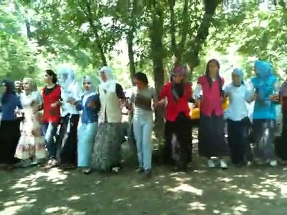 Piknik Halay