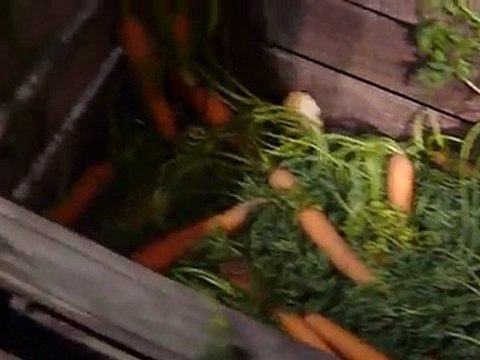 Expo José Lapin à Blois - Festival BD Boum 2010