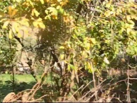 Dedemli Köyü 18 Kasım 2010-2