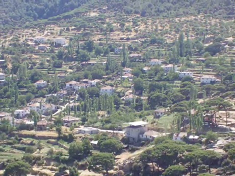 Altıntaş koyü bozdoyan AYDIN