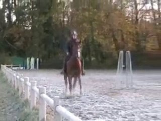 Debourrage THEVA DE KERVEL (20/11/2010)