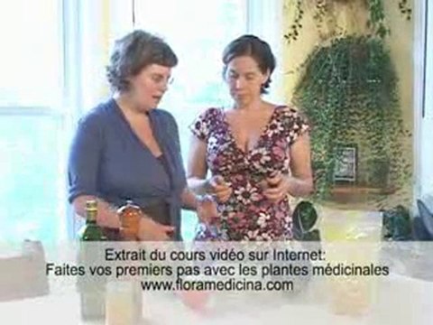 Plante médicinale - le curcuma (Curcuma longa)