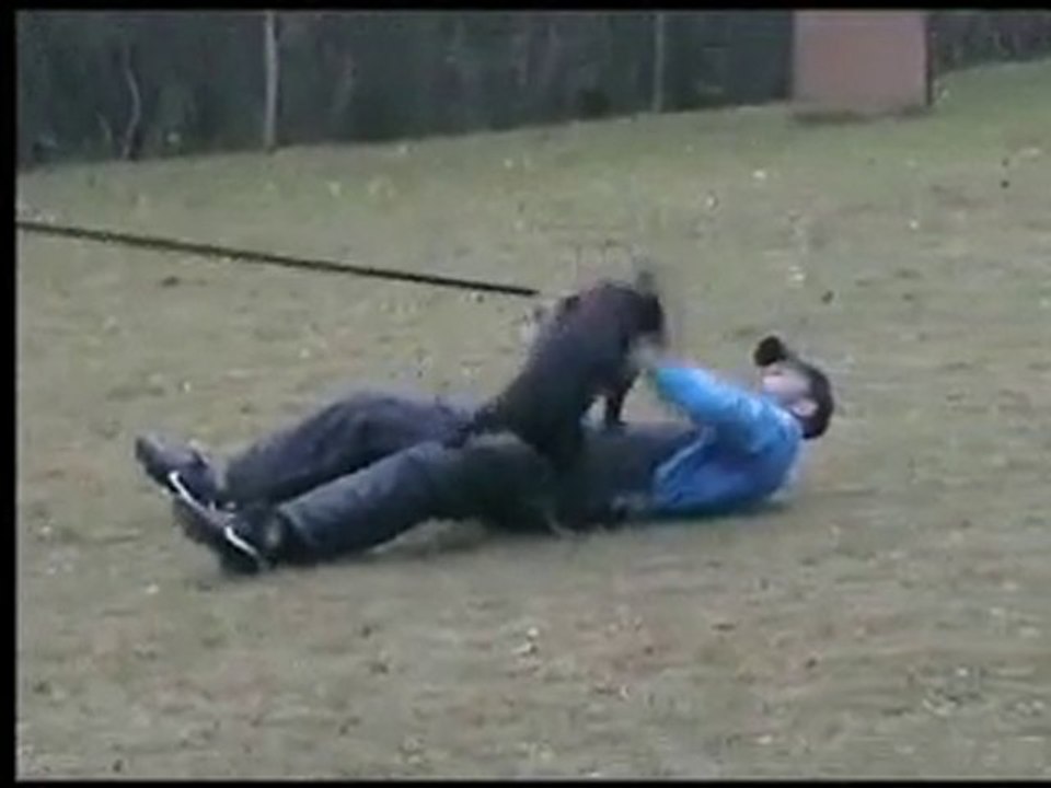 Viona Von Der Zonser Heide (3 mois 1/2)