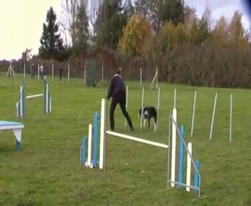 démonstration d'agility snoopy malhoreau vidéo 5
