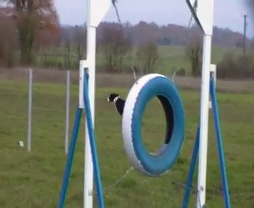démo agility snoopy malhoreau vidéo 6