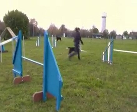 démo agility snoopy malhoreau vidéo 7