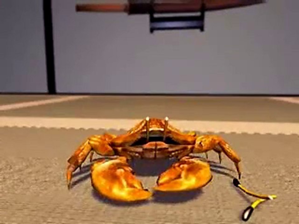 Kung Fu Crab