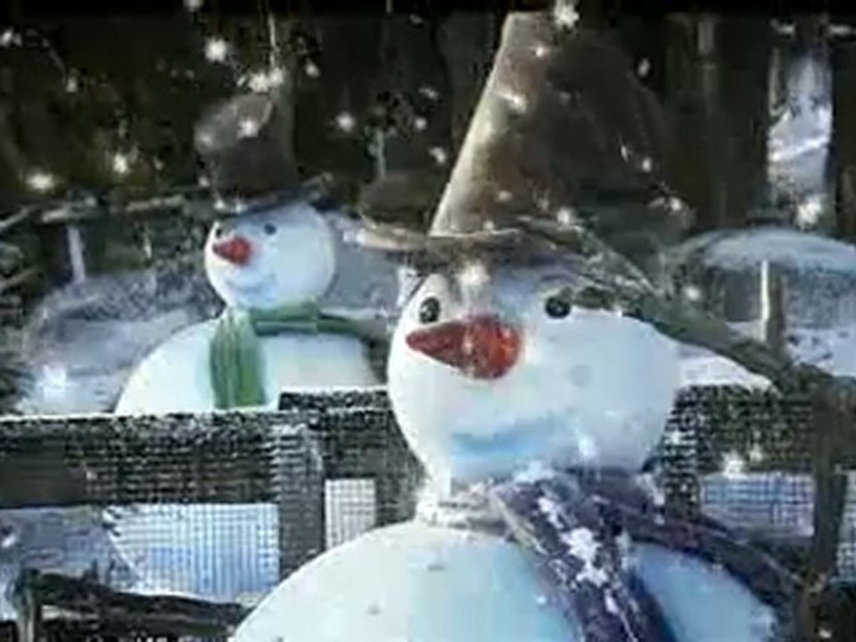 Noël 2010 - Press Event - Les Stars à Disneyland Paris