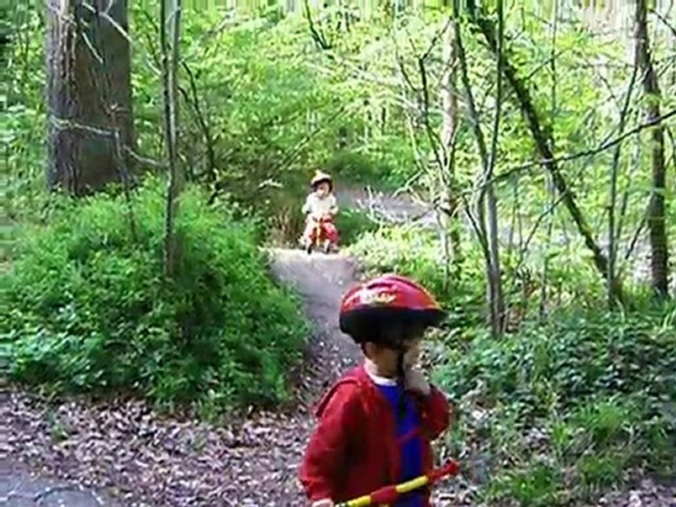 ballade en foret - 2009