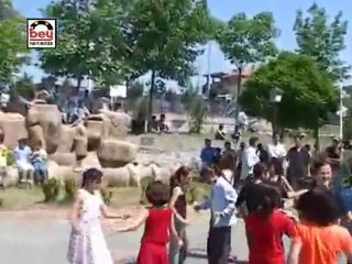 Cimcime (Akkuşlu Metin)