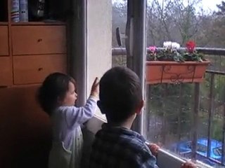 2010-11-21 - Nettoyage de carreaux avec Robin