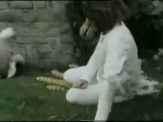 The Flight of The Bird Productions