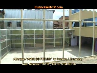 S FIELES, Cuenca animal shelter, Albergue