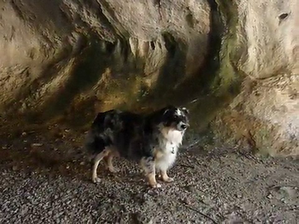 Boogie dans la grotte