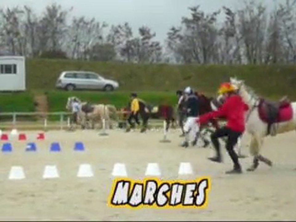 PonyGames Niort 21/11/10 Tuc's Attitudes Cadet 1