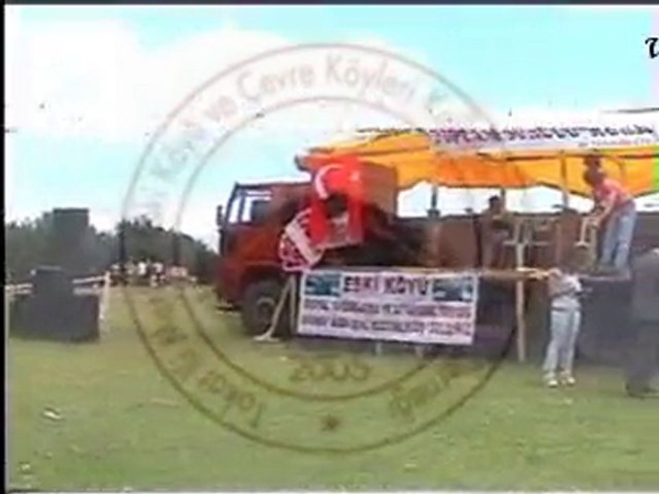 Dikmen2010-1